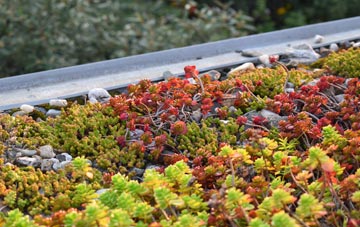 the cost of Ingoldmells green roof installation