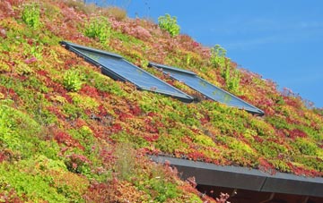 Ingoldmells living roof systems